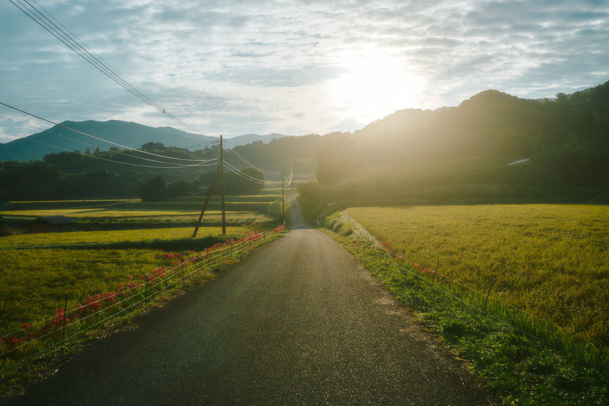 Japanese Countryside