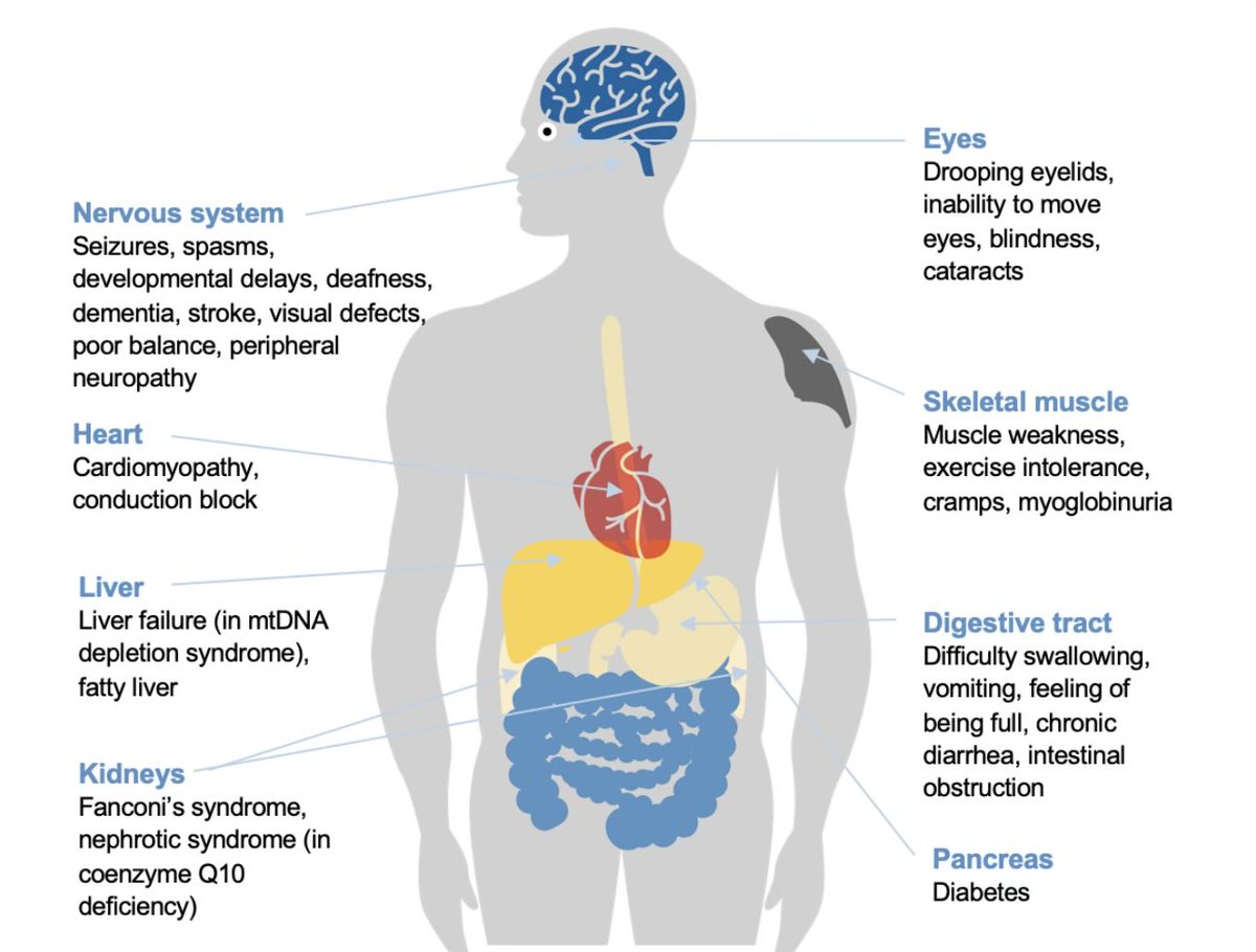 davidasinclair's tweet photo. I am very proud of the team at MetroBiotech, who have developed a stabilized, GMP grade, patented form of NMN &amp; have taken it into multiple FDA-regulated clinical trials to treat major diseases. Why does this matter? 🧵 https://t.co/YSqikkAvHZ