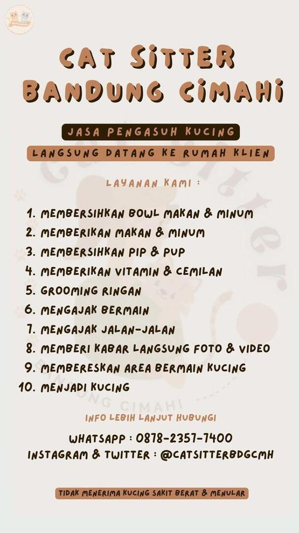 KochengFess v2 tweet media