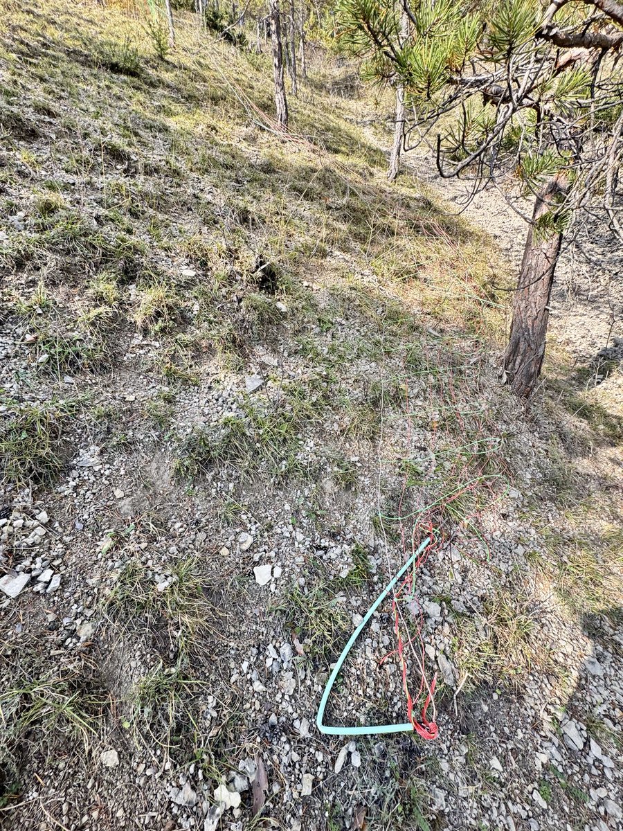 Das ist auch der Steilhang, Wildschäden….