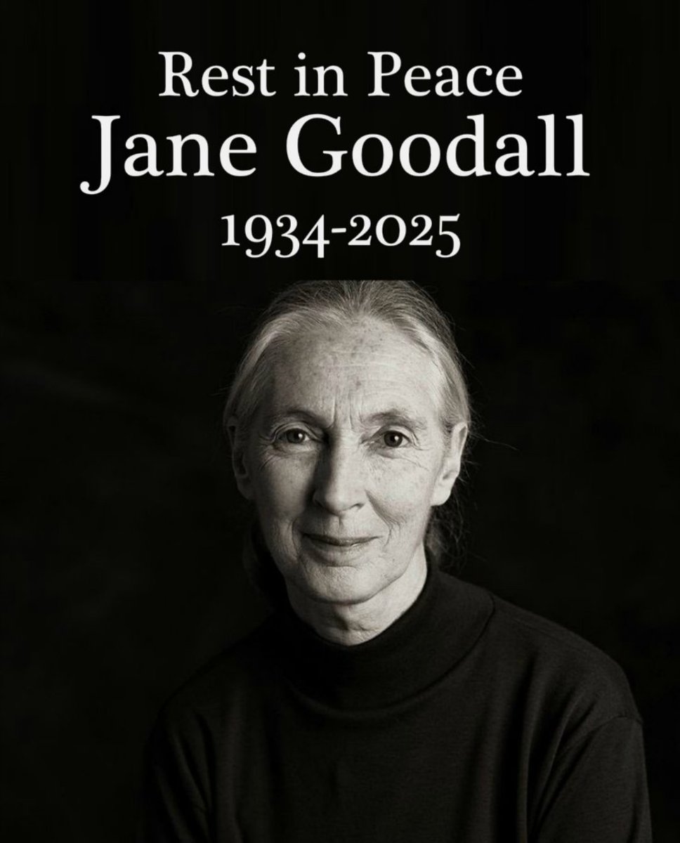 Zmarła Jane Goodall 🖤
