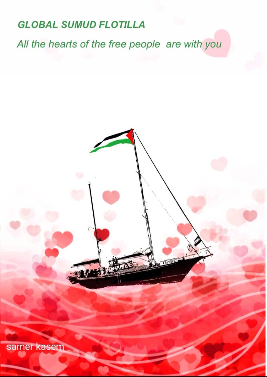 antonellapetran's tweet photo. #FreedomFlotilla #FreeGaza #freepalesti̇ne https://t.co/BXtaNS4EXN
