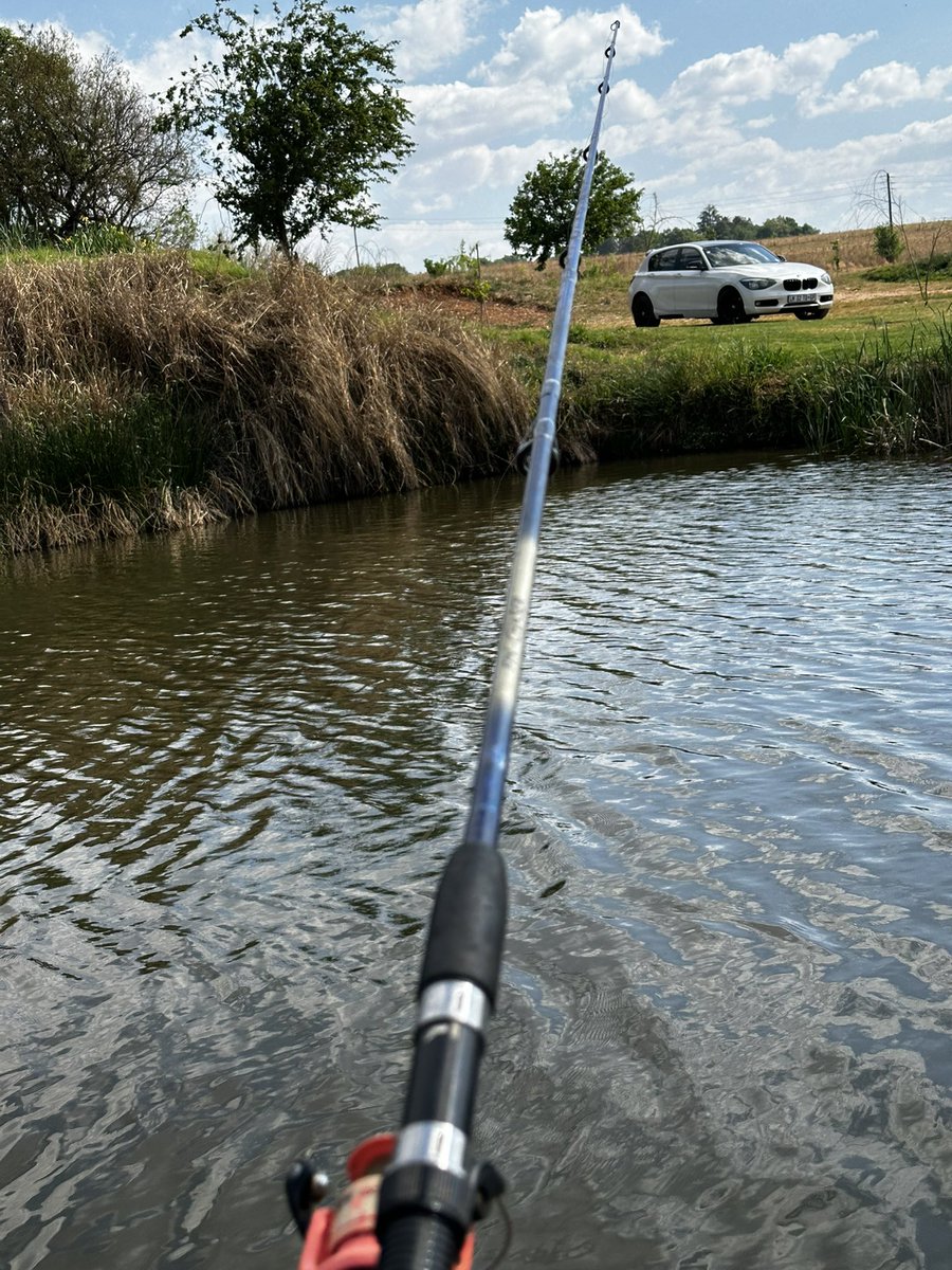 Tech_gawdd's tweet image. Office for the day 👨‍💻🎣