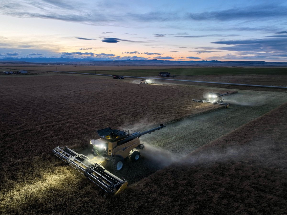 AJM Seeds tweet media