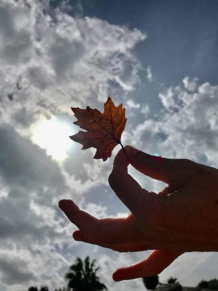 <a href="/SofiaKonst6071/">S. Kon.</a>