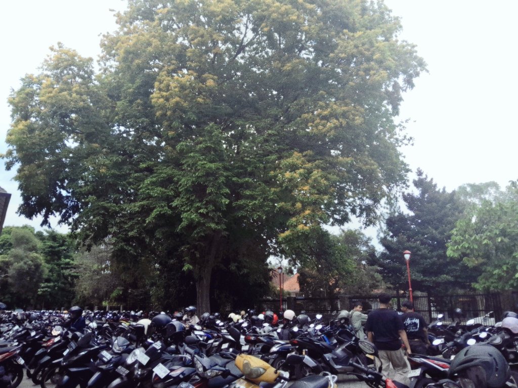 ashel𓏲‧₊˚ tweet media