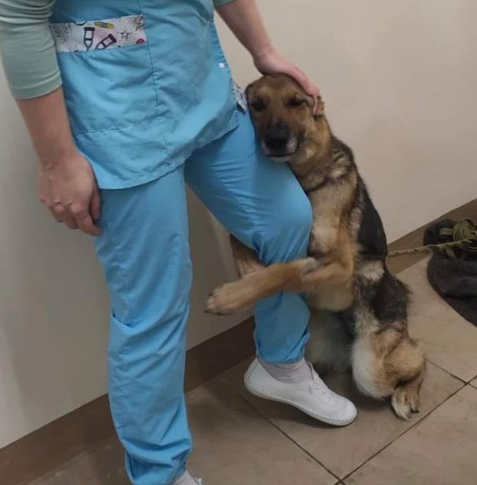 Please don't move around without giving him some love!