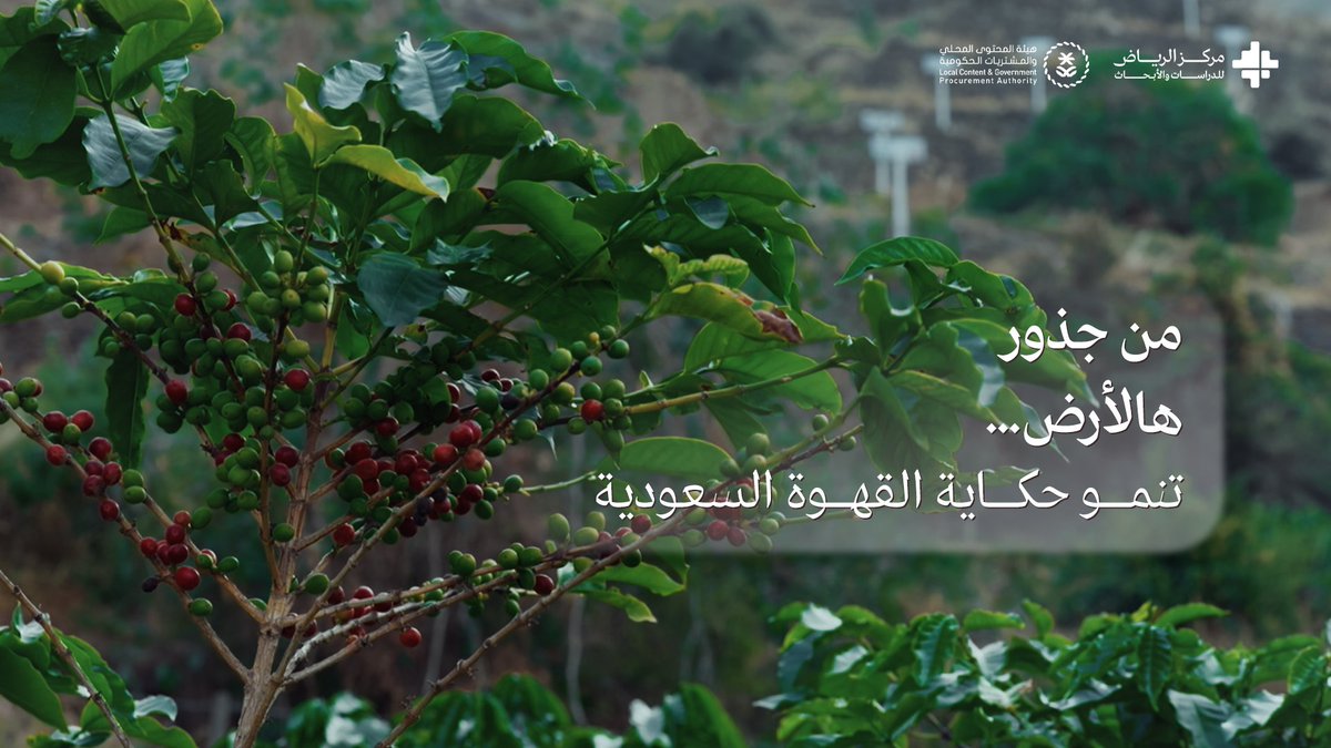 مركز الرياض للدراسات والأبحاث tweet media