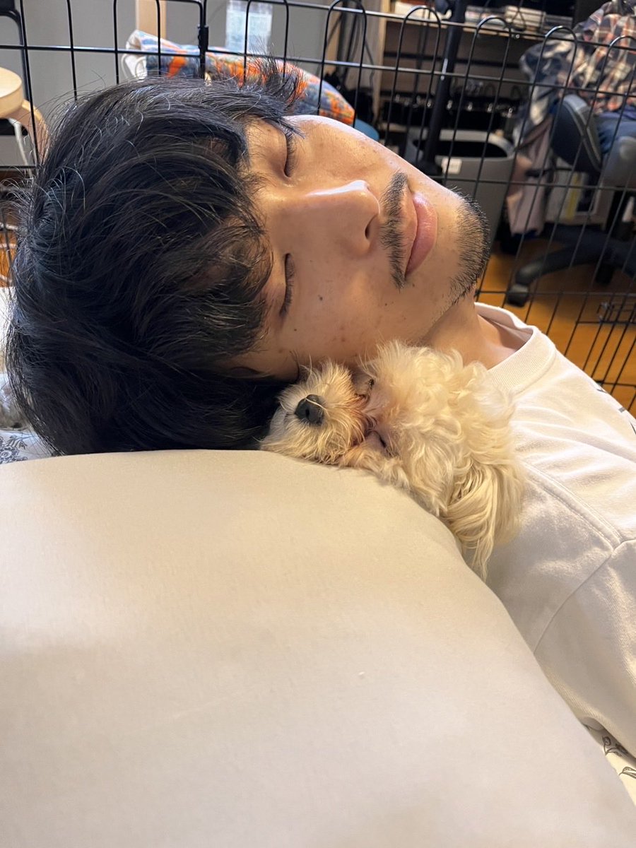 monell_0512's tweet photo. このちんまり野郎の為に6年間吸っていた煙草を辞めて、27歳にして普通免許を取得した　愛してる

𝐹𝑂𝑅𝐸𝑉𝐸𝑅 𝐷𝑂𝐺＿＿＿＿＿＿＿＿🎶 https://t.co/BNEuicHn74