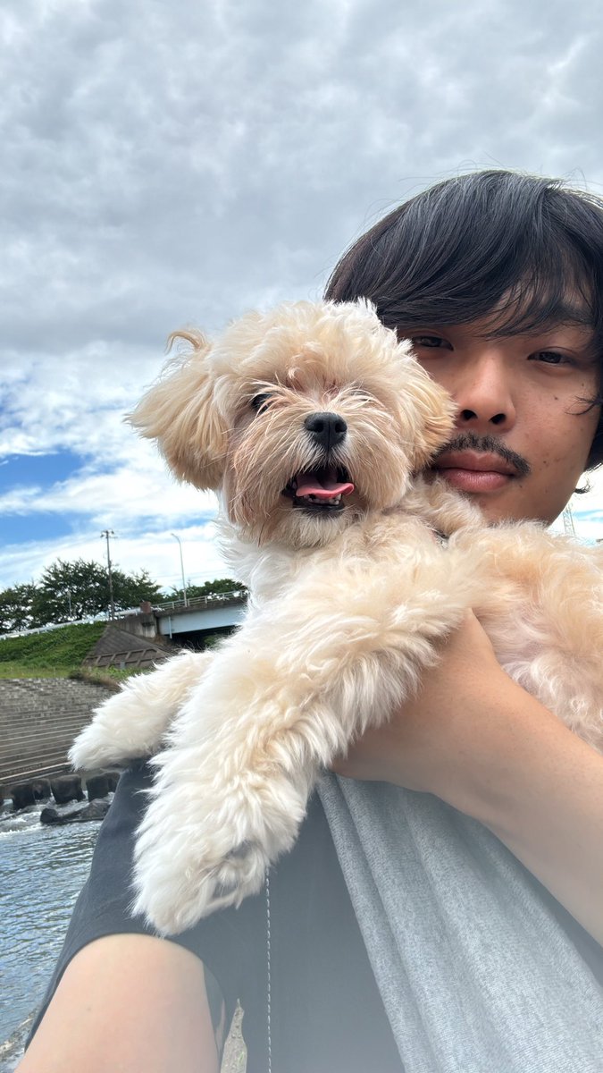 monell_0512's tweet photo. このちんまり野郎の為に6年間吸っていた煙草を辞めて、27歳にして普通免許を取得した　愛してる

𝐹𝑂𝑅𝐸𝑉𝐸𝑅 𝐷𝑂𝐺＿＿＿＿＿＿＿＿🎶 https://t.co/BNEuicHn74