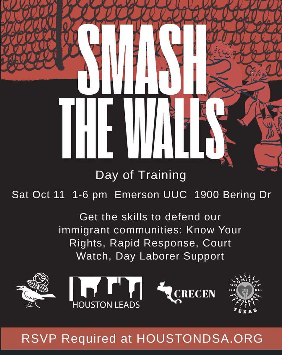 Houston DSA tweet media