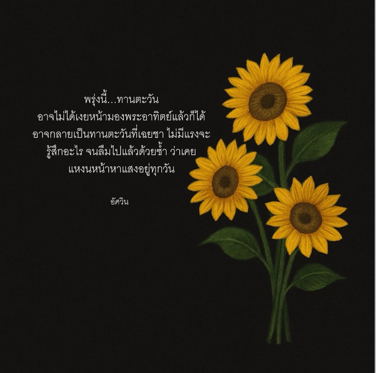 TG__TiGer tweet media