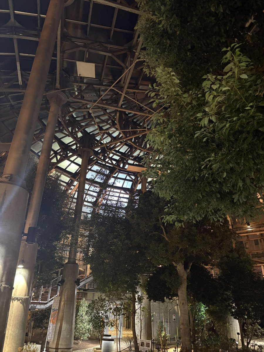 夜の植物園🪴も良き⭕️
遅くなったけど帰ってリポート📚やらねば
子供達寝てる💤だろうな⤵︎
帰りが遅くなった日は、妻にお土産の飲むカフェオレゼリー☕️
#産能通信 #産業能率大学 #通信制大学 #産能短大