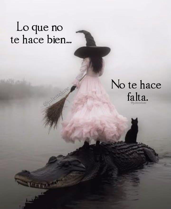 Hagamos como el otoño, que se desprende de las hojas que ya no le hacen falta para sobrevivir el invierno y dar paso a la renovación en donde todo florece 🍁🍂