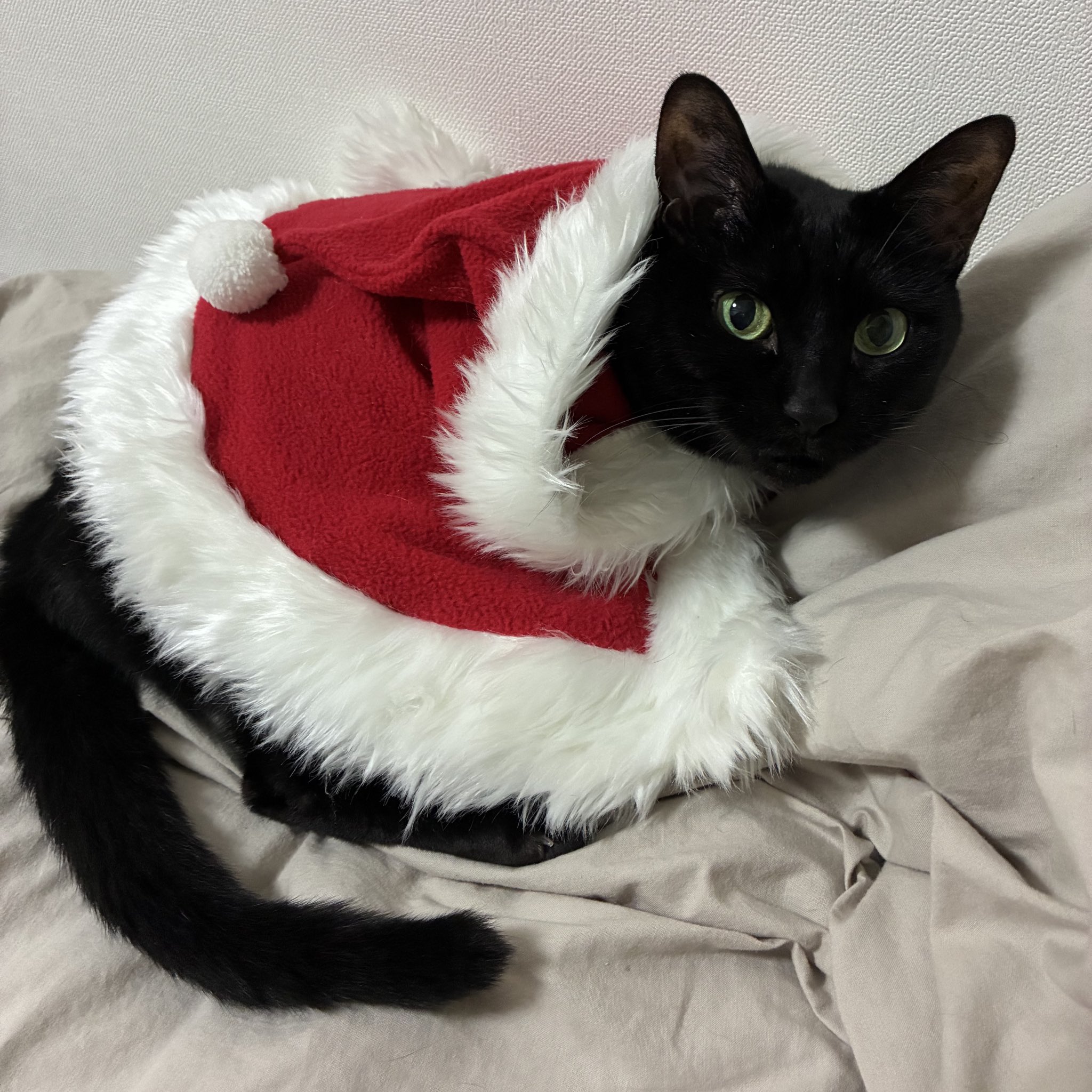 ‬キキᙏ̤̫* 購入前プロフ見て下さい。 キキ ᙏ̤̱‪‪❤︎プロフ読んで下さい TGIF ありがとう🌸‬‬