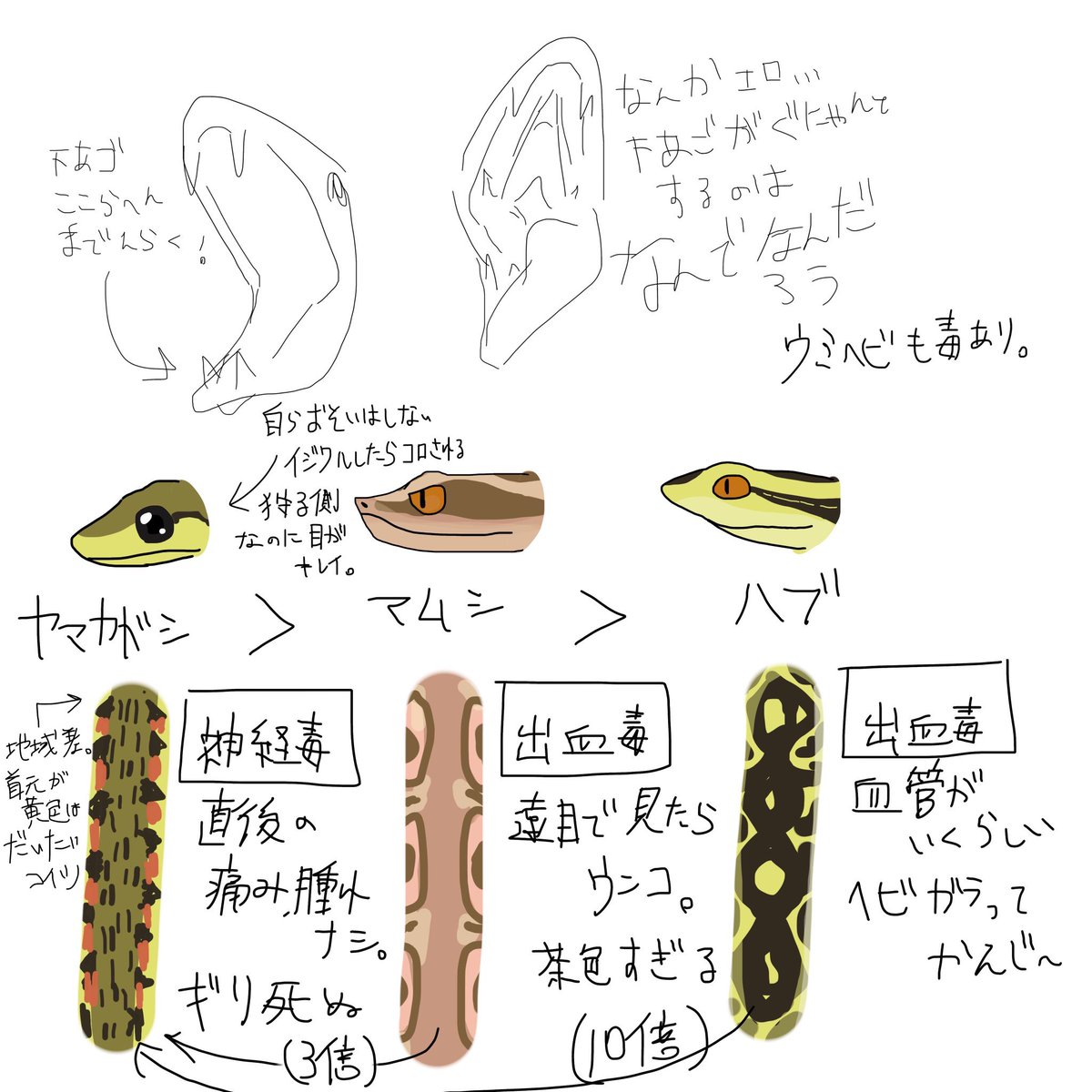 gete_menma's tweet photo. 🗝垢で喋りまくってた、ヘビの絵です https://t.co/fcwWchwr3x