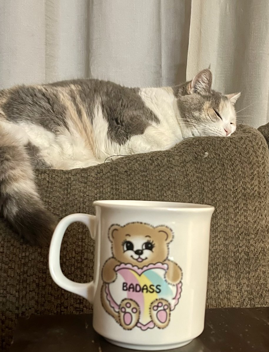 Good morning.
I didn’t even know it was Thursday. 
Thank goodness for the calendar on my phone.
I think Ayla needs a few more minutes. 
Have a great day everyone. ☕️😊