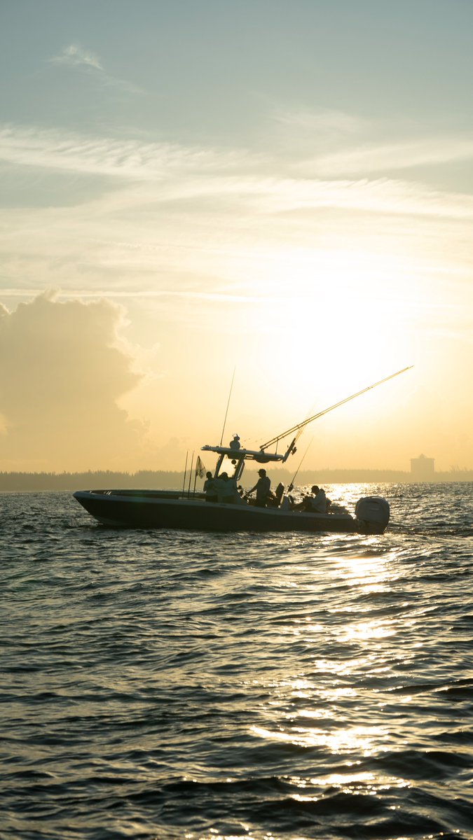 Chasing the sunrise with the <a href="/galeforcetwins/">Gale Force Twins</a>  and crew. 🌅 Equipped with TACO GS-300 Outrigger Mounts and Internally Rigged Carbon Fiber Poles — built for smooth runs and clean spreads out on the water.
#TACOOnboard #TACOMarine #RiggedRight #OffshoreReady #SportFishing #Fishing
