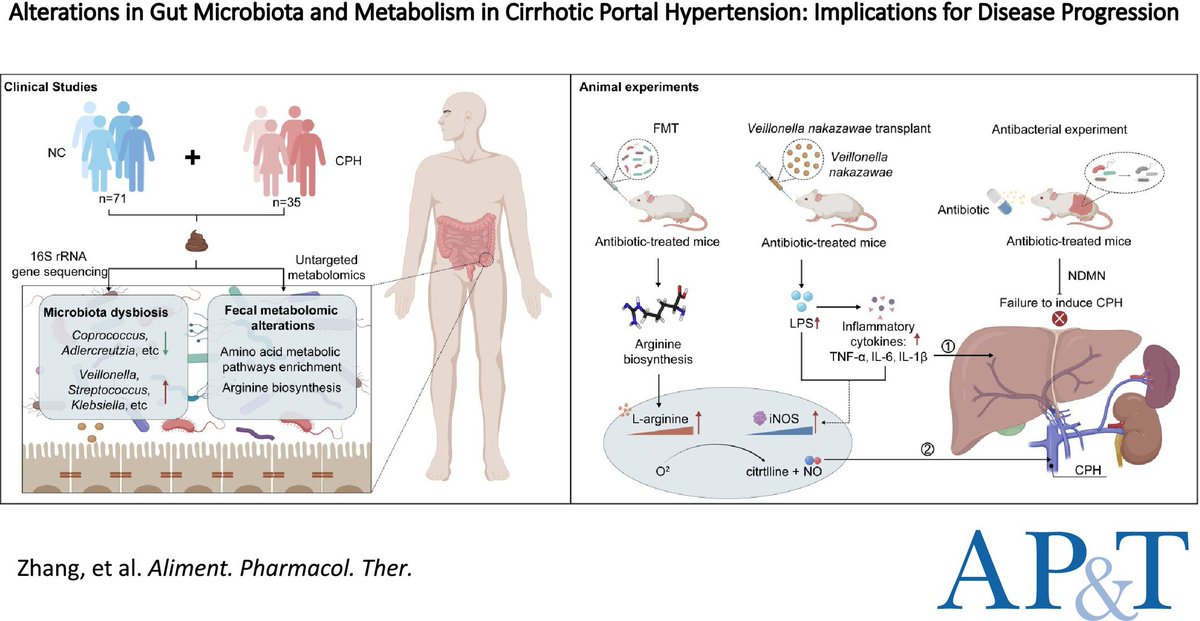 roypounder.apt tweet media