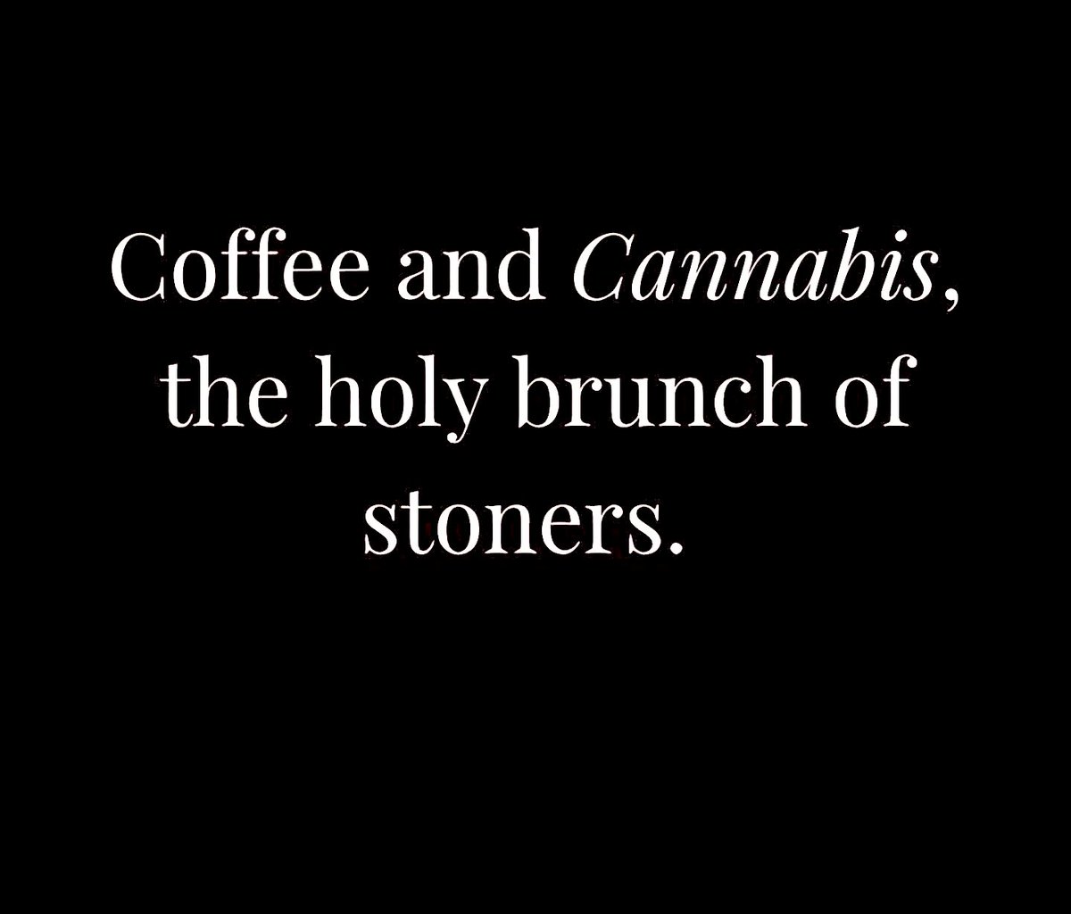 HighAngel's tweet image. 