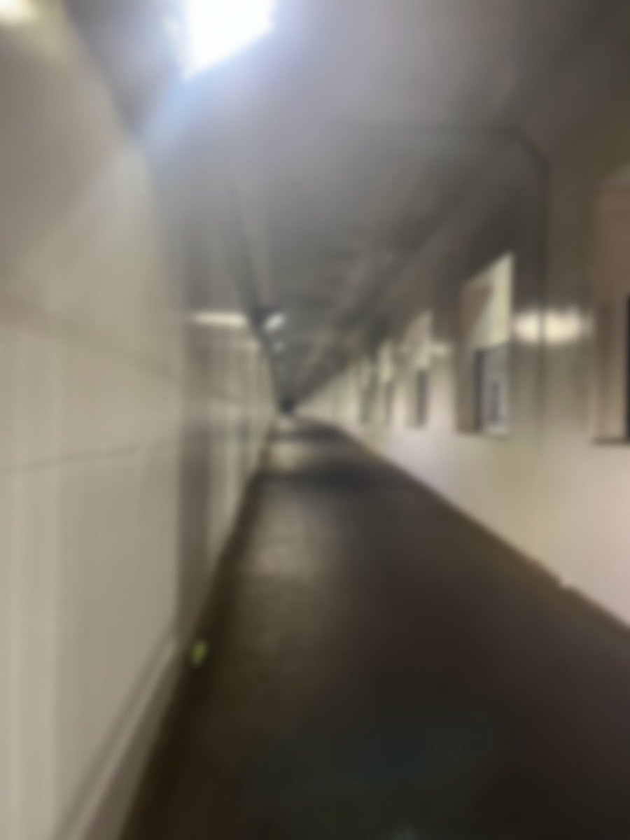 my_minii_gdn's tweet image. nanaです！
本日も【消失点】の撮影でした！
バンドが好きな方、映画が好きな方、シューゲイザーが好きな方、
ひとつでも当てはまれば絶対に、絶対見て欲しいです！
10/24(金)新宿WildSideTokyo
上映は18:40〜
🎟️ tiget.net/events/429174
#COLLAPSE
#NEO_N
#囁きと残像