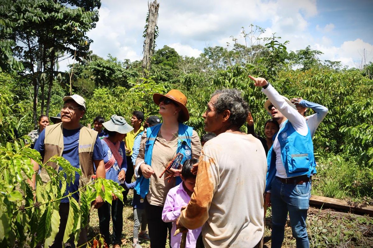 ONUBolivia's tweet photo. 🌴🌿Estuvimos en las comunidades Londres 2 y El Chorro, Filadelfia, Pando, con familias productoras 🌱👩🏽‍🌾. Conocimos de cerca cómo se implementa #AMAS1: producción de unidades familiares y experiencias de comercialización que fortalecen sistemas alimentarios sostenibles. https://t.co/WYJ5TYGATE