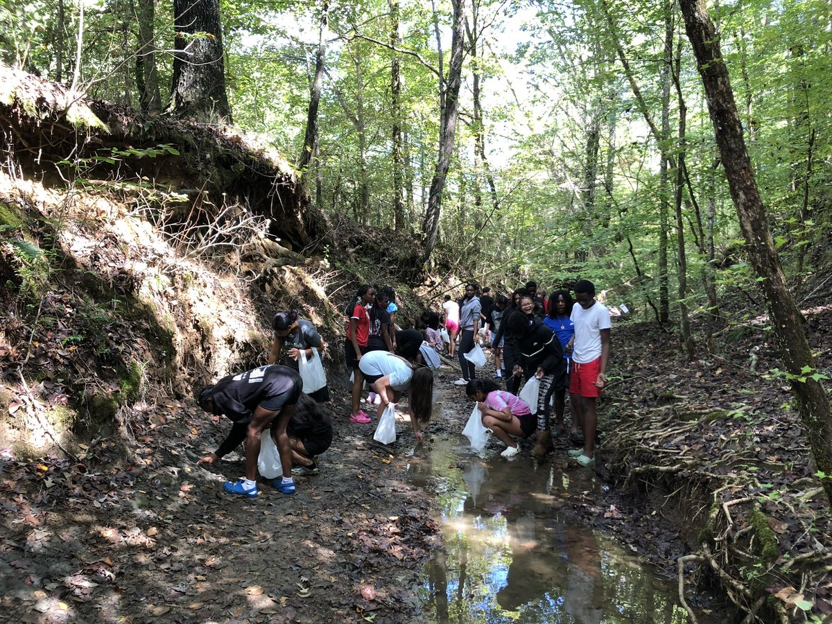 UT Martin Coon Creek Science Center tweet media