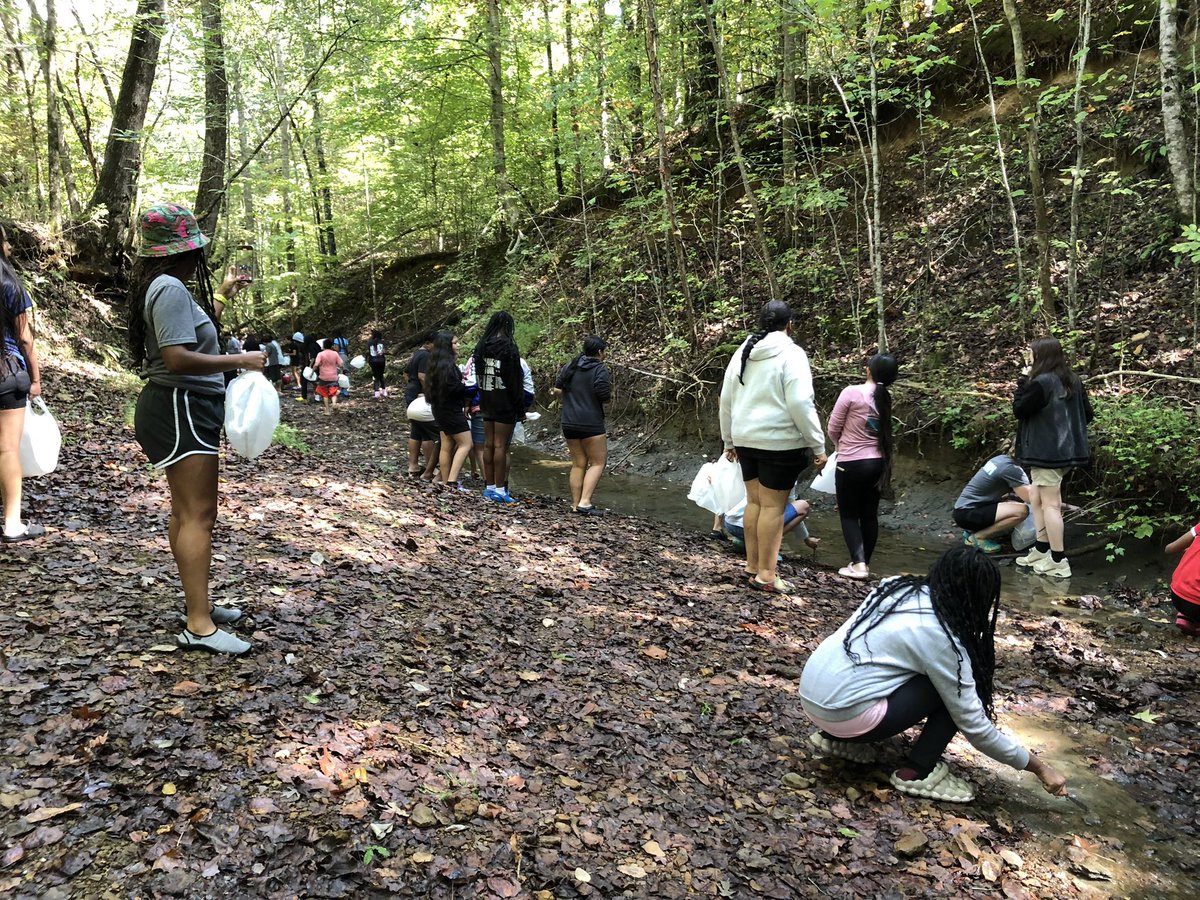 UT Martin Coon Creek Science Center tweet media
