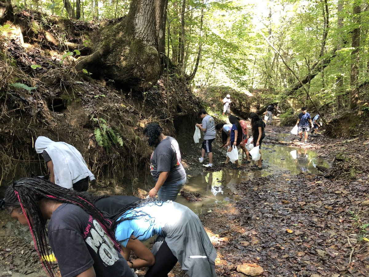 UT Martin Coon Creek Science Center tweet media