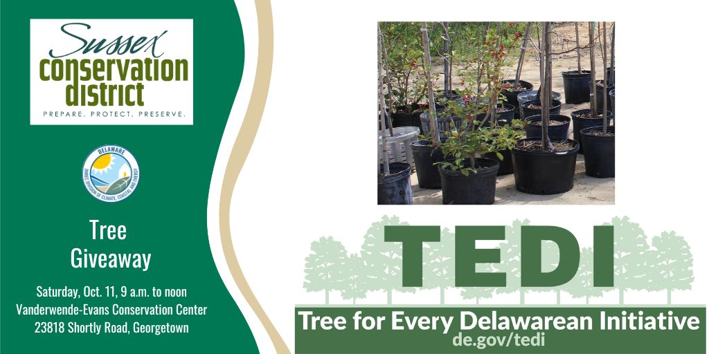 The Sussex Conservation District will hold its third annual native tree giveaway, part of the Tree for Every Delawarean Initiative on Saturday, Oct. 11, from 9 a.m. to noon at the Vanderwende-Evans Conservation Center, 23818 Shortly Road, Georgetown.
sussexconservation.org/events