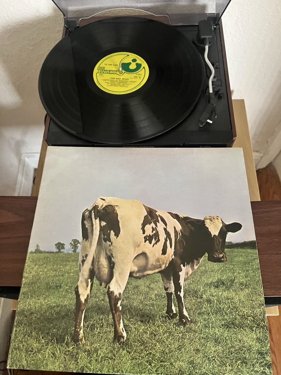 55 today <a href="/pinkfloyd/">Pink Floyd</a> 🐄 🎂