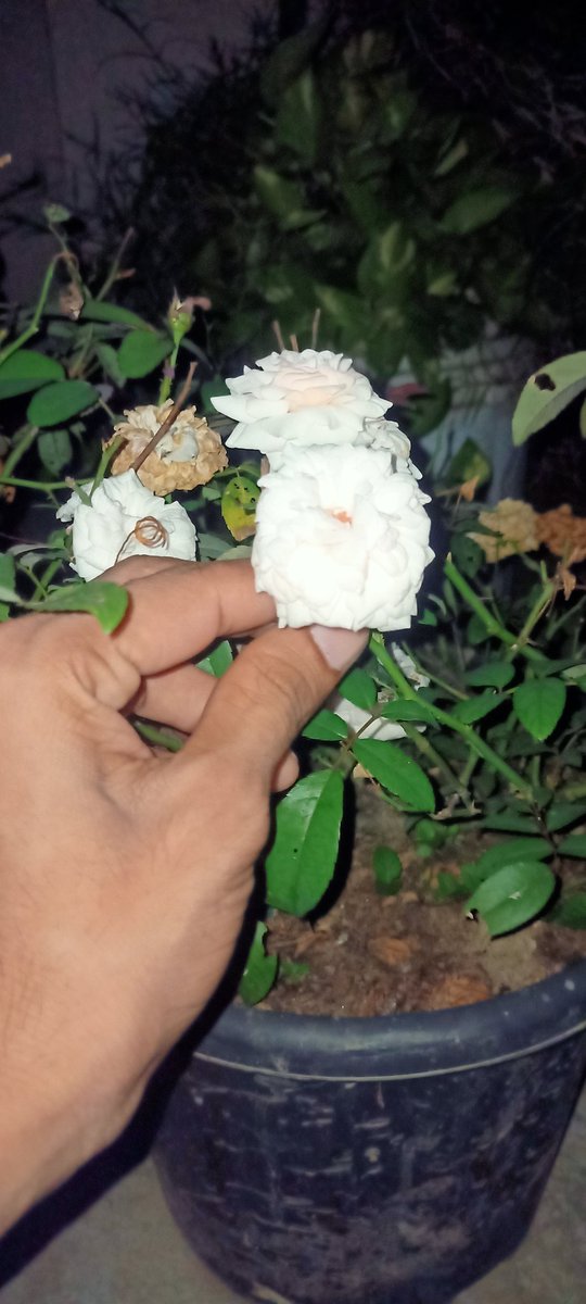 September Dump 💌❤️‍🔥