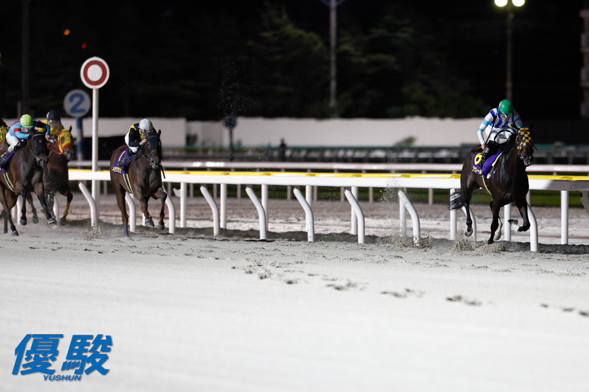 ナリタブライアン 蹄鉄 優駿』編集部 on X