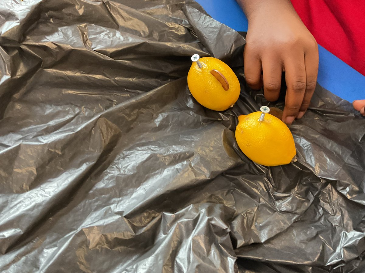 Mr Possible (@mrpossibley6) on Twitter photo A great afternoon in Science making power from lemons 🍋<a href="/BoothferryPS/">Boothferry Primary #weareBoothferry</a> <a href="/MissLinklater/">Miss Linklater</a> A great afternoon in Science making power from lemons 🍋<a href="/BoothferryPS/">Boothferry Primary #weareBoothferry</a> <a href="/MissLinklater/">Miss Linklater</a>