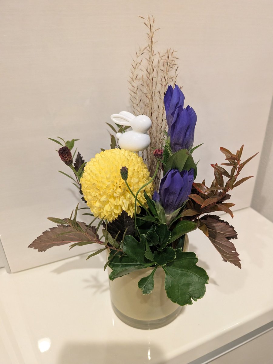 yuko_pri's tweet photo. 生前対策ご納品のお客様から、お菓子のほかにお花も頂きました🌷ありがとうございます😌 https://t.co/HFIMUbdcMa