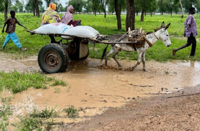 PRESS RELEASE: Sixth year of flooding deepens one of the world’s worst hunger crises in South Sudan. 
"My recent visit to South Sudan has left me deeply concerned for the country’s children. What lies ahead could be catastrophic" Danny Glenwright, CEO Save the Children