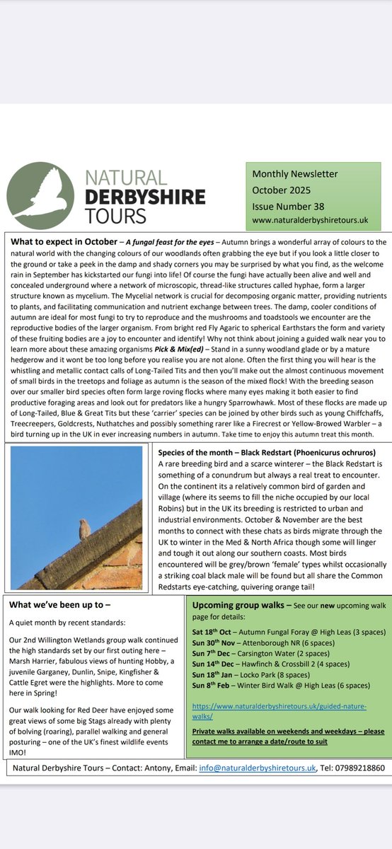 Black Redstarts, hedgerow action and the weird &amp; wonderful world of Fungi - October's newsletter from Natural Derbyshire Tours is now available 👇 <a href="/DerbysWildlife/">Derbyshire Wildlife Trust</a> 

naturalderbyshiretours.uk/october-newsle…