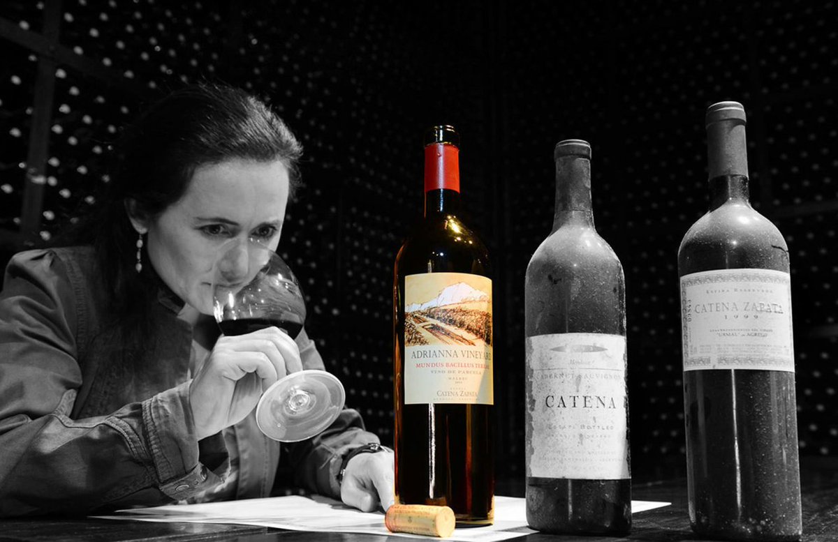 Roland_Coiffe's tweet photo. INSIDE LA PLACE - Laura Catena on wine, terroir and the future of Argentine grands vins 🍷 📌 Dr Laura Catena "My greatest challenge is balancing long-term essential projects with urgent short-term needs." 
https://t.co/tGvCu15aq2 https://t.co/rYv8tQbHr2
