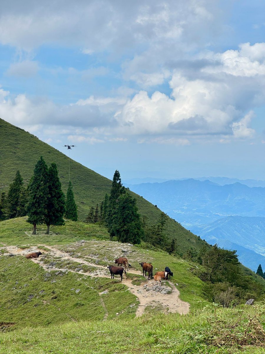 uyuyanpanda09's tweet image. 