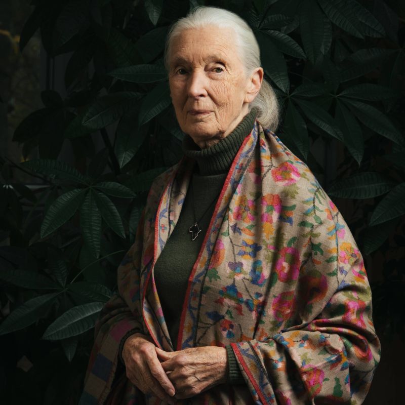 We are deeply saddened by the passing of Dr. Jane Goodall — a scientist, advocate, and changemaker whose legacy will continue to inspire us all. 🌍💚

#RememberingJane #ThankYouJane

📸: Marko Zlousic