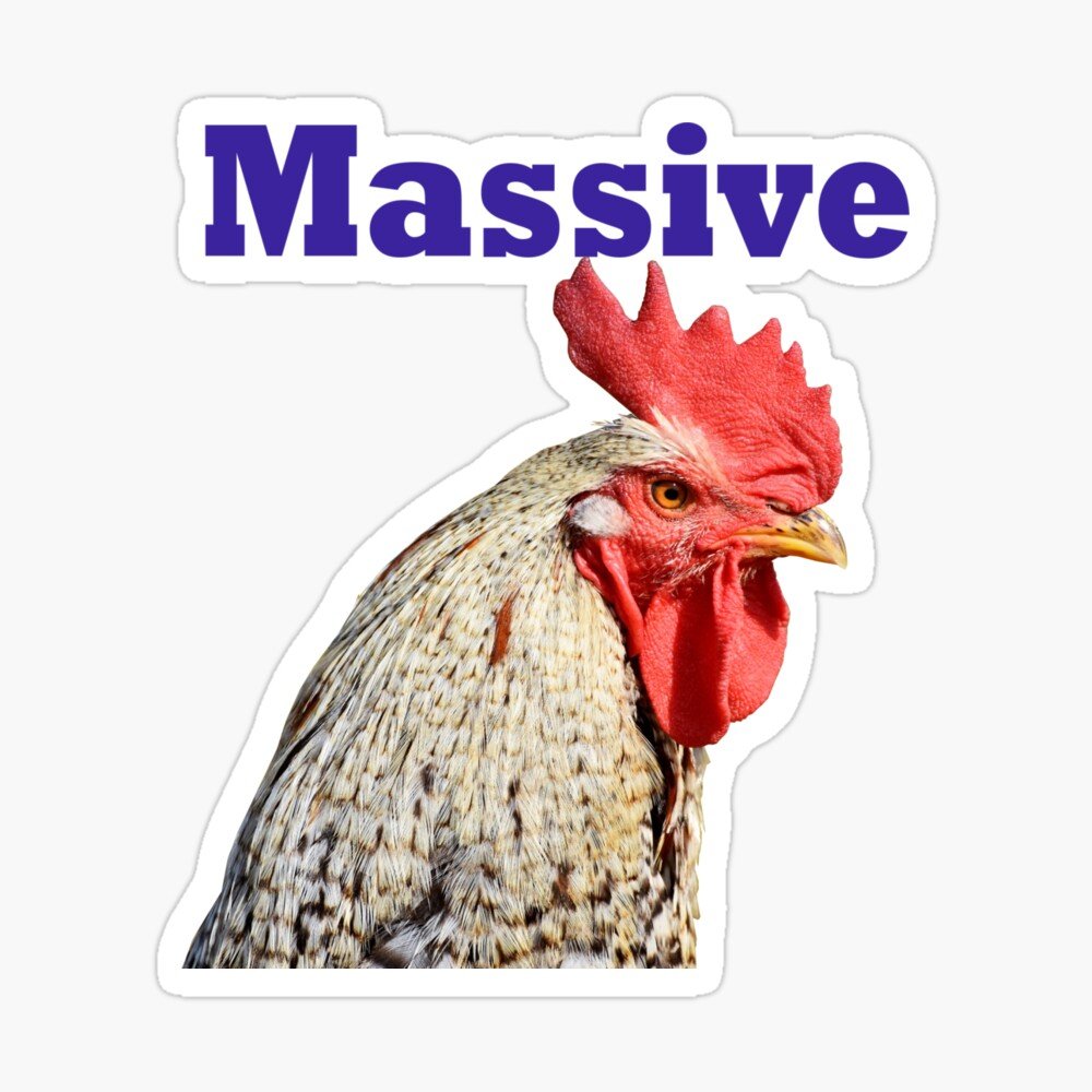 So many requests for pictures lately, guess it's time to show what I've got.