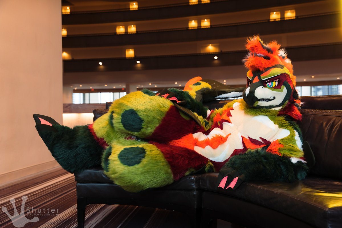 PoisonedShutter's tweet image. It’s @tojothethief’s birthday so that means he gets to lounge on the sofa. Unfortunately there’s no room left for you so that means you’re on snack duty 🥳