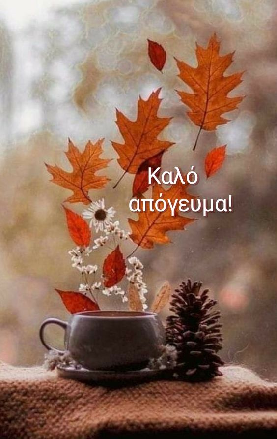 <a href="/SofiaKonst6071/">S. Kon.</a> Καλησπέρα αγαπημένο μου Σοφάκι και όμορφο απόγευμα να έχεις με χαρά και πολύ αγάπη!❤️😘🌹🥰