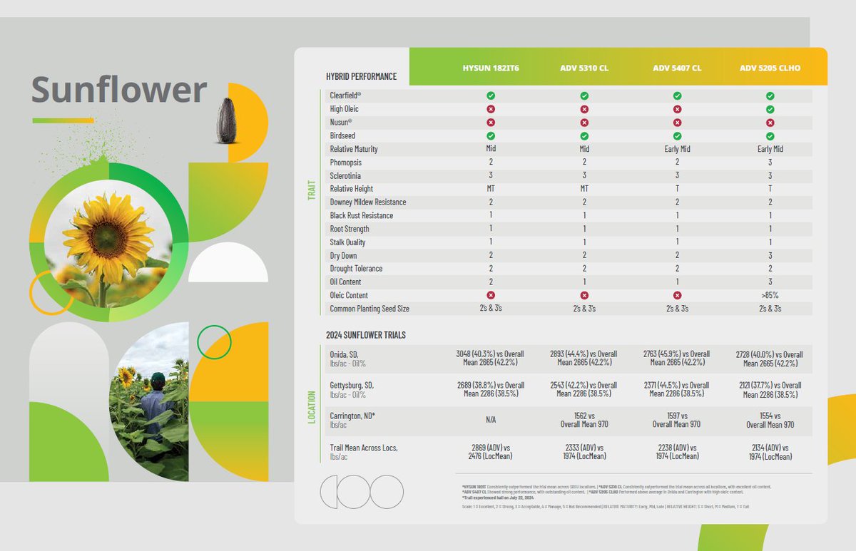 Touring our sunflower fields in South Dakota today 🌻 4 Advanta U.S. hybrids showing big, uniform heads, strong yield + oil potential, and dependable disease tolerance. 

Bonus: Advanta’s program includes high-/ultra-high-oleic options for quality oil.
