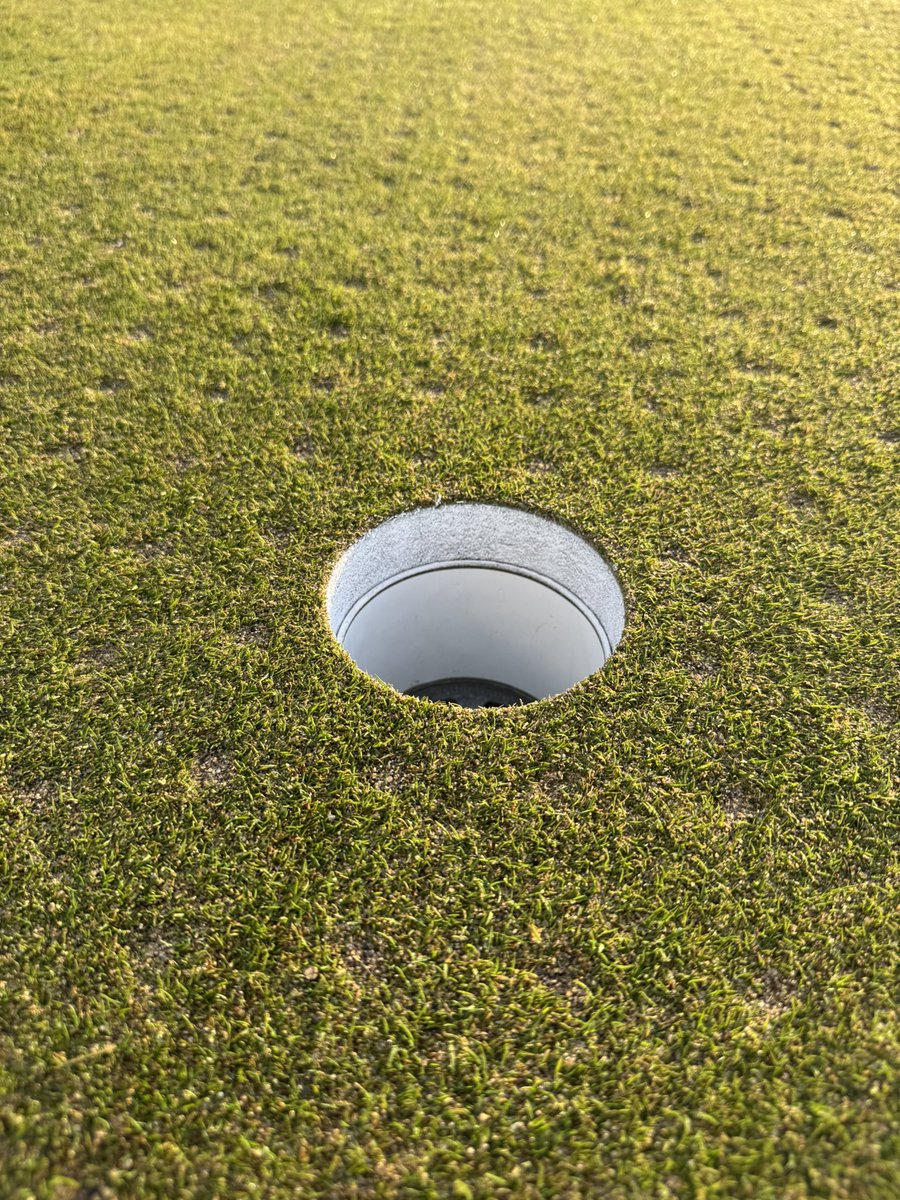 purdueturfy's tweet image. A crisp minty hole surrounded by thousands of beautifully filled aerification holes paired w Maverick riding shotgun. Let’s have a day!!! #golfcourselife #ouroffice #dogsofturf