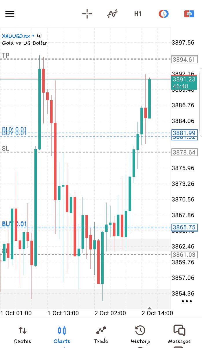 Added 2 positions after slight full back.
Now, profit secured 💯