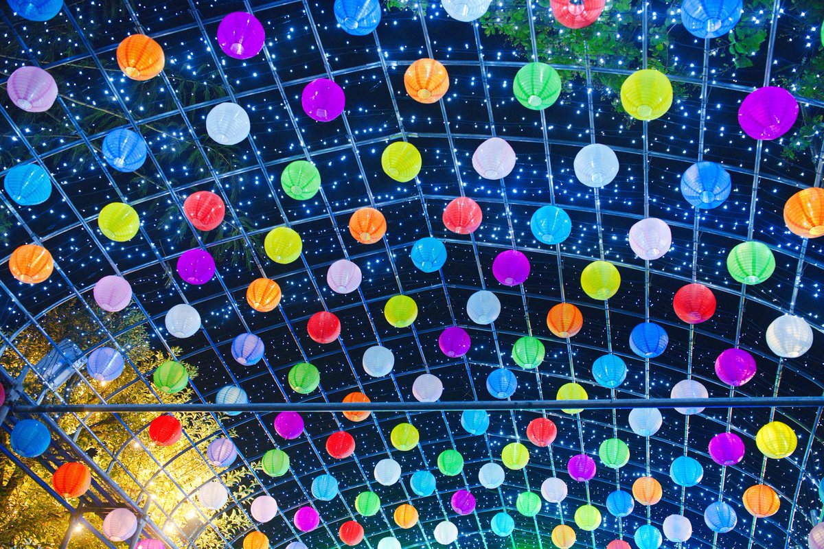 椿 【📸参加予定はプロフ】 (@ciel37564) / Posts / X