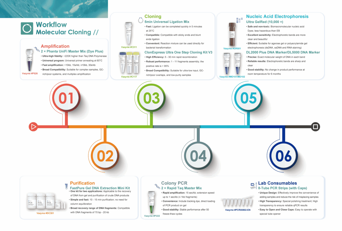 Labclinics S.A. tweet media