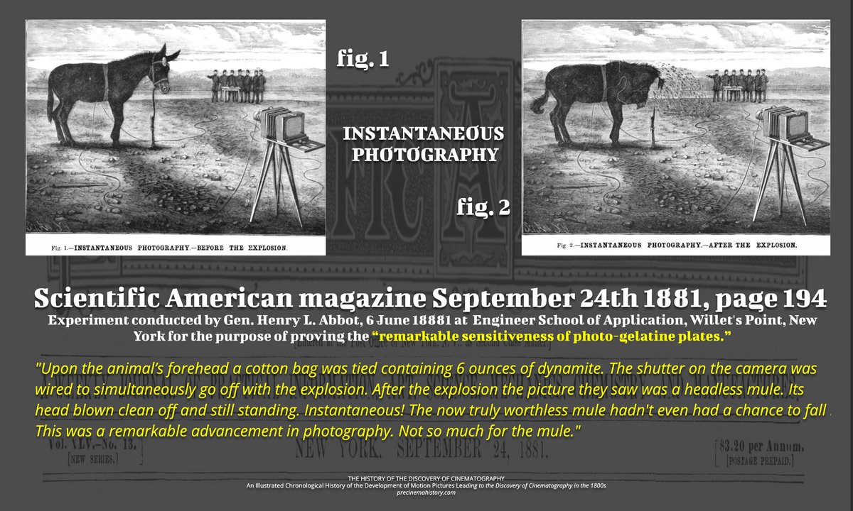 RealPreCinema's tweet image. In keeping with Edison’s #electrocution of an #elephant, horses, cattle, dogs and cats to prove the dangers of #alternatingcurrent in 1903, (against its proponents #Westinghouse and #Tesla), a mule was used to demonstrate Instantaneous Photography was not dangerous at all, except…
