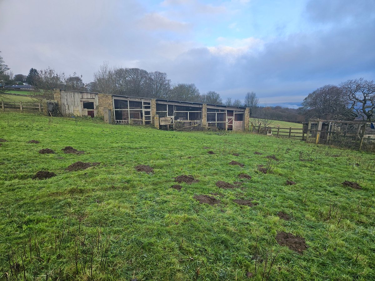 RoneDesign's tweet image. 🌿 New barn conversion near Ilkley! 
Blending traditional features with modern, sustainable design: air source heat pumps, fossil fuel free, rainwater harvesting &amp;amp; grey water recycling. Exciting transformation underway! 
#BarnConversion #SustainableDesign